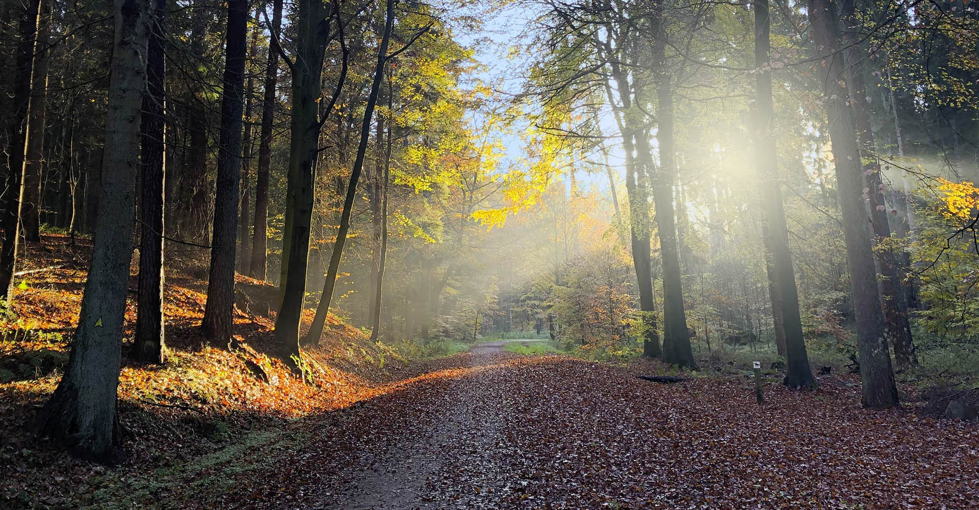 Weg_schmal